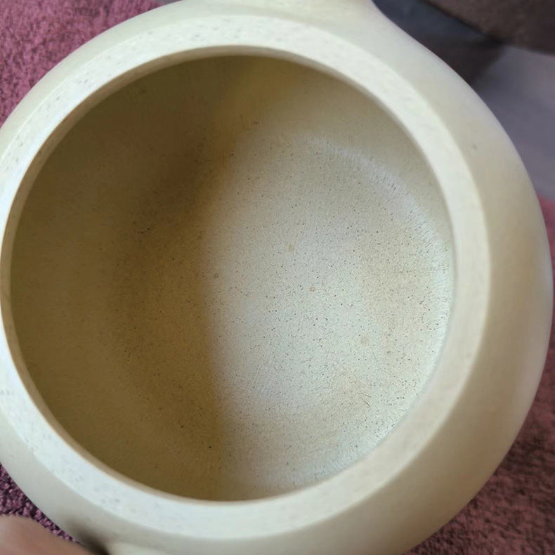 Authentic Yixing Zisha Clay Teapot, Xishi Style, 220ml Capacity