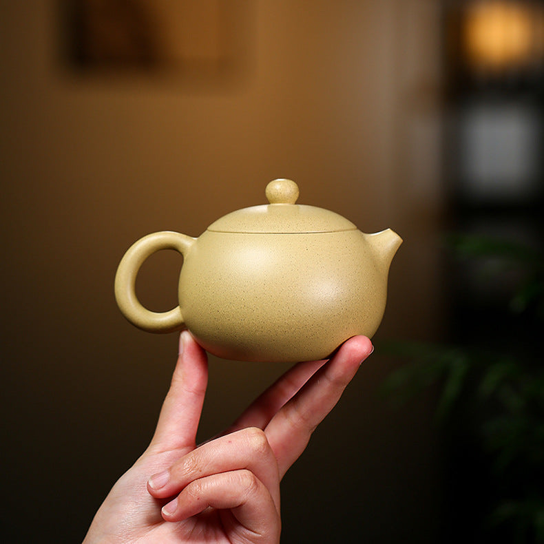 Authentic Yixing Zisha Clay Teapot, Xishi Style, 220ml Capacity