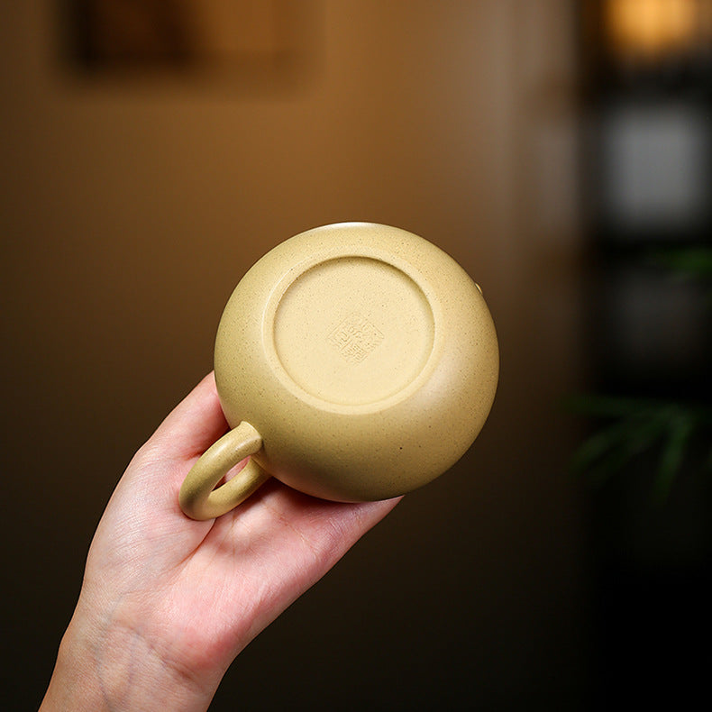 Authentic Yixing Zisha Clay Teapot, Xishi Style, 220ml Capacity