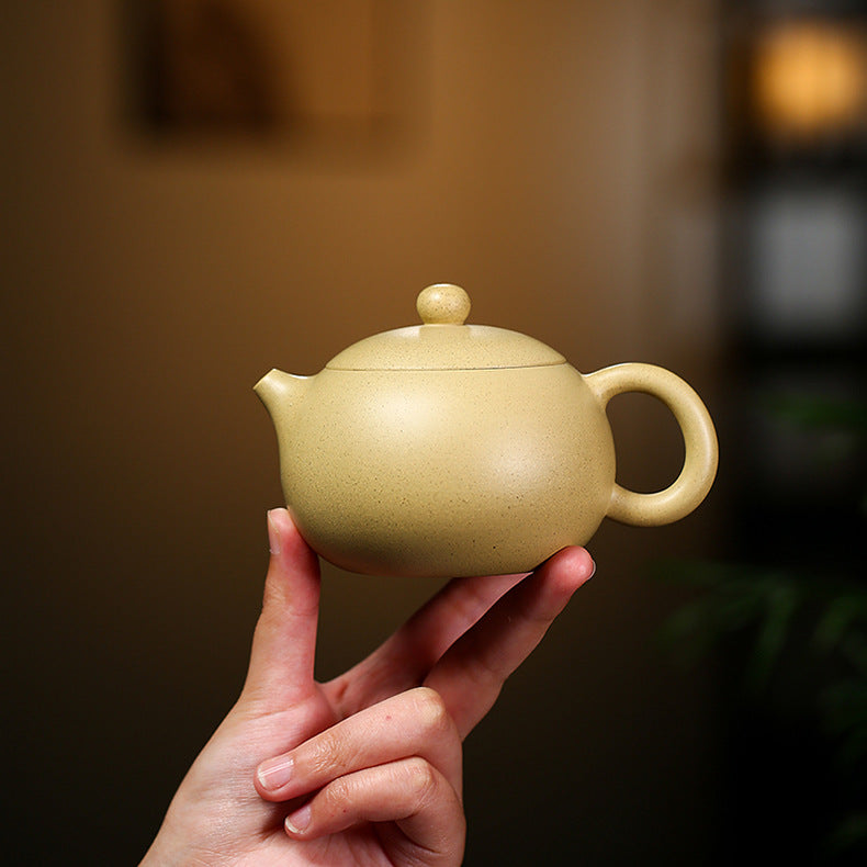 Authentic Yixing Zisha Clay Teapot, Xishi Style, 220ml Capacity